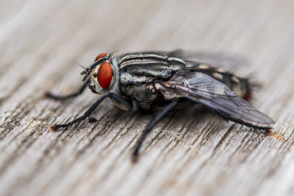 如何在赌场游戏中提高胜率：技巧与策略分享