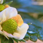 如何在苏豪平台上实现个人品牌的快速成长 0gfb0zvrkm