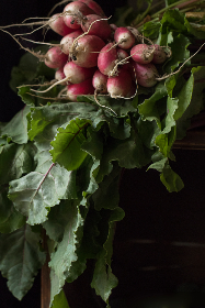 如何在虎博娱乐上获得更高的游戏收益