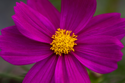 如何在赌博游戏中保持理智,避免财务危机? 如何在赌博游戏中保持理智,避免财务危机?