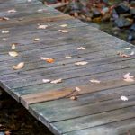 如何在赛博娱乐中找到最受欢迎的游戏项目 k886iatd