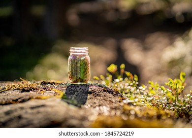 如何在视讯百家乐中提高胜率的实用技巧 如何在视讯百家乐中提高胜率的实用技巧