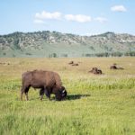 如何在葡京赌场平台上获取更高的胜率 tf2qrqhy3