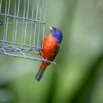 如何在速博娱乐中找到最受欢迎的游戏 y0buj70y