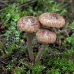 如何在英博平台上获取最佳的游戏体验与奖励 yng9z9s77